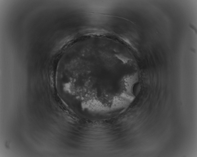 X0000093141399200710171319