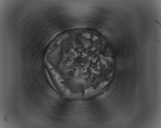 X0000093141401200710171319