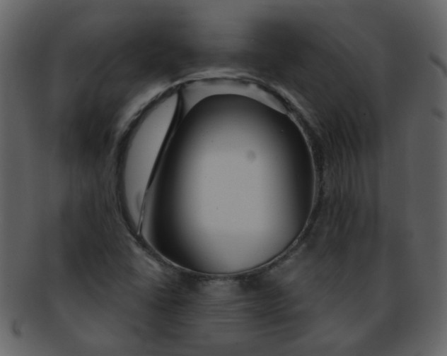 X0000093141406200710171319