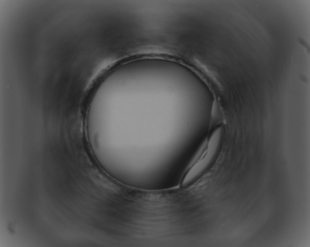 X0000093141408200710171319