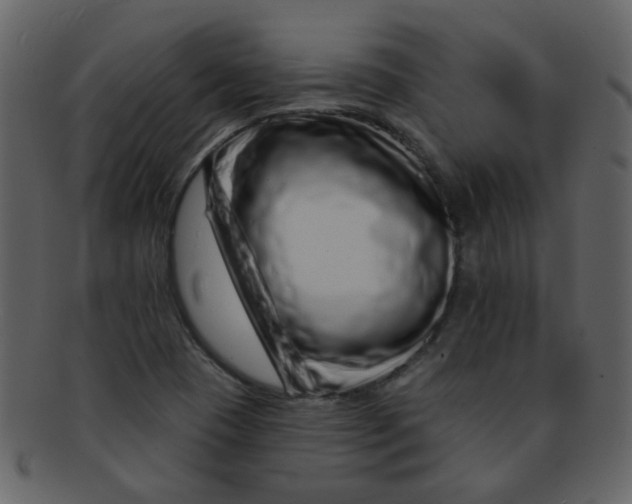 X0000093141409200710171319