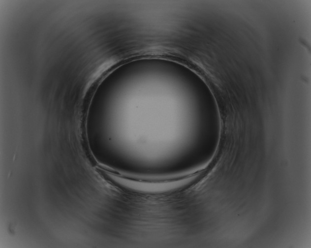 X0000093141410200710171319