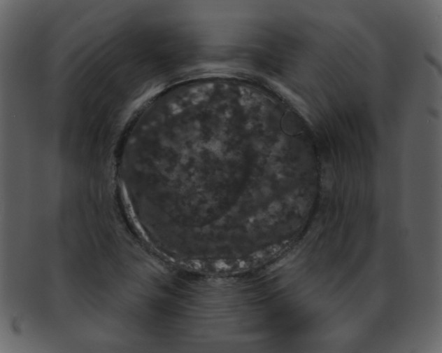 X0000093141411200710171319