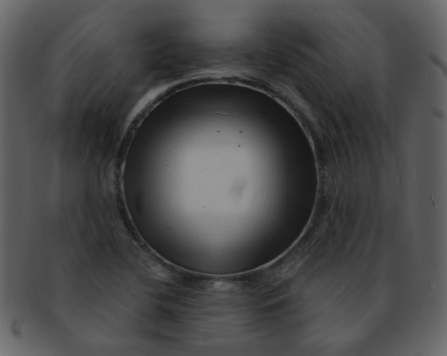 X0000093141412200710171319