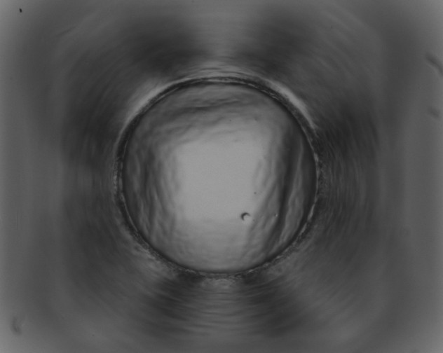 X0000093141415200710171319