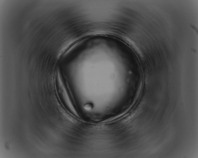 X0000093141417200710171319