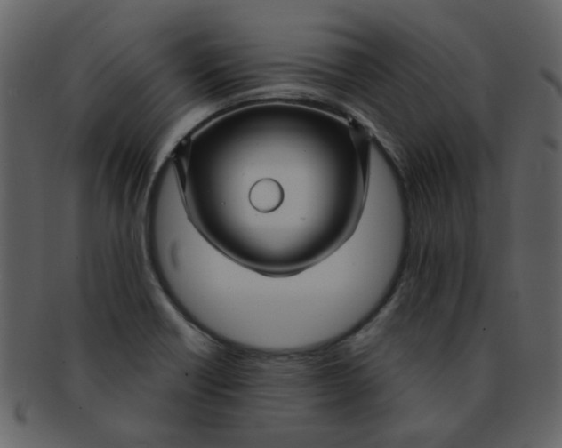 X0000093141418200710171319