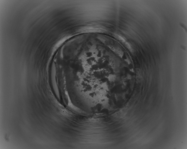 X0000093141419200710171319