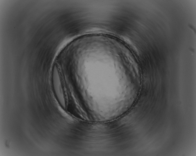 X0000093141421200710171319