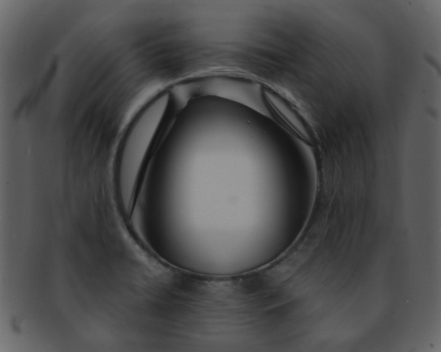 X0000093141422200710171319