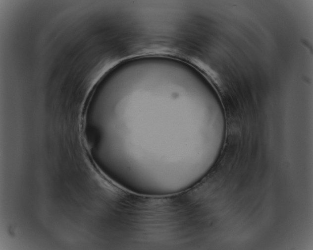 X0000093141423200710171319