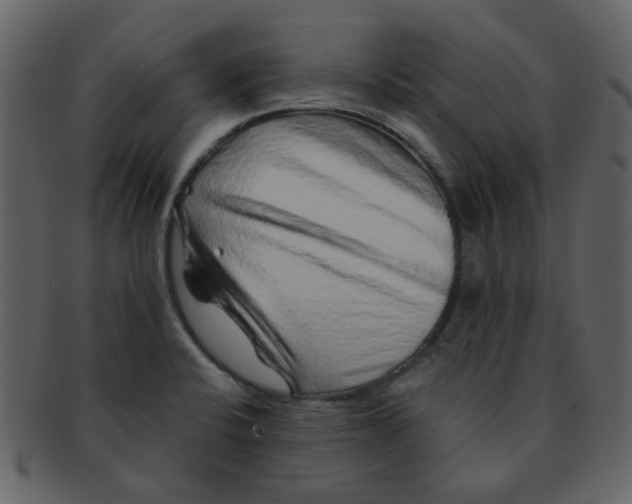 X0000093141424200710171319