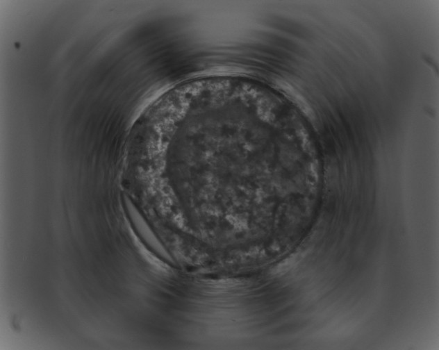 X0000093141425200710171319