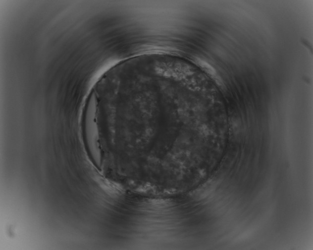 X0000093141427200710171319