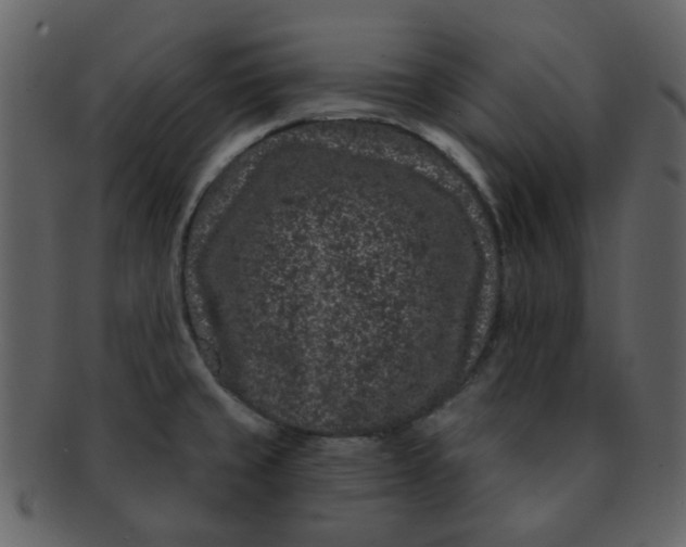 X0000093141429200710171319