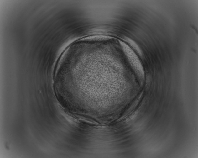 X0000093141435200710171319