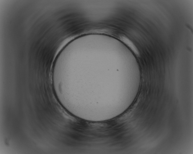 X0000093141436200710171319