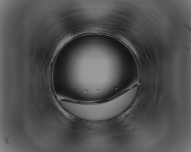 X0000093141437200710171319