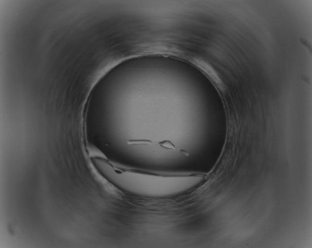 X0000093141439200710171319