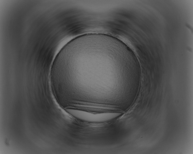 X0000093141440200710171319