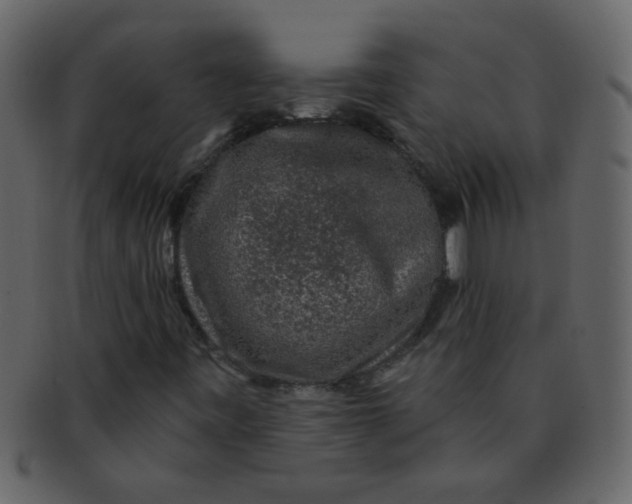 X0000093141443200710171319