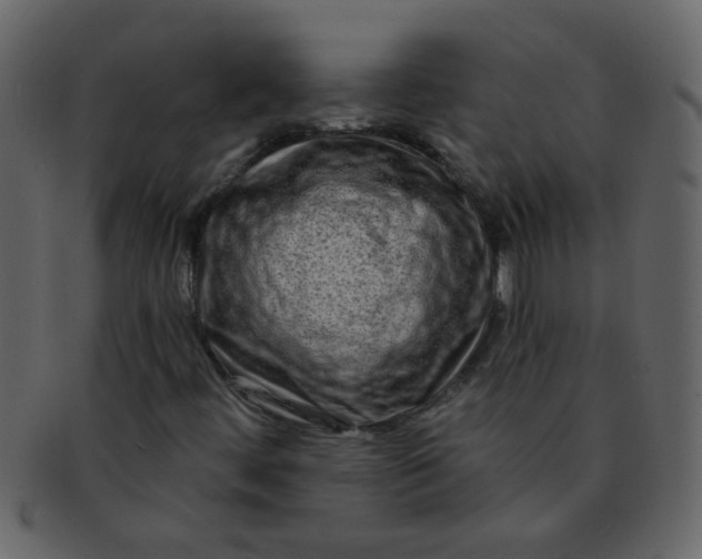 X0000093141444200710171319