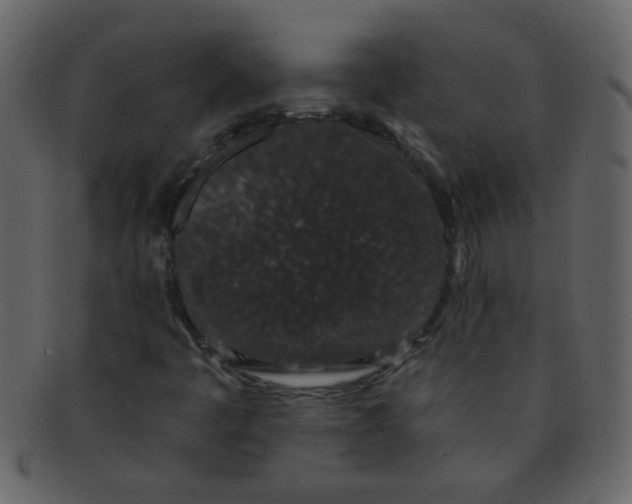 X0000093141445200710171319