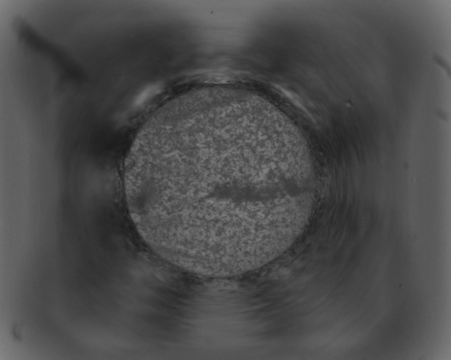 X0000093141446200710171319