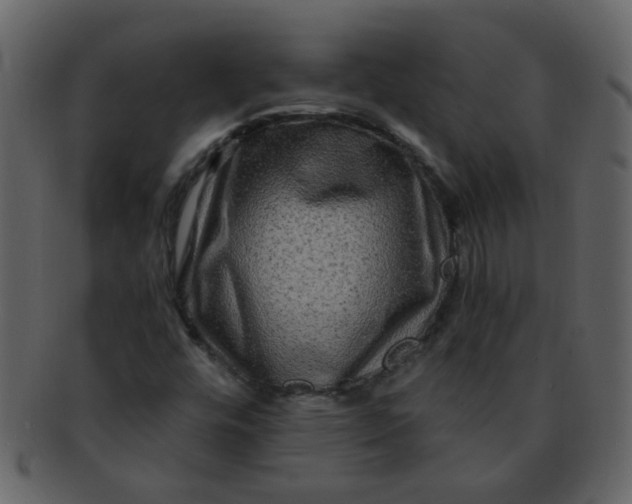 X0000093141448200710171319