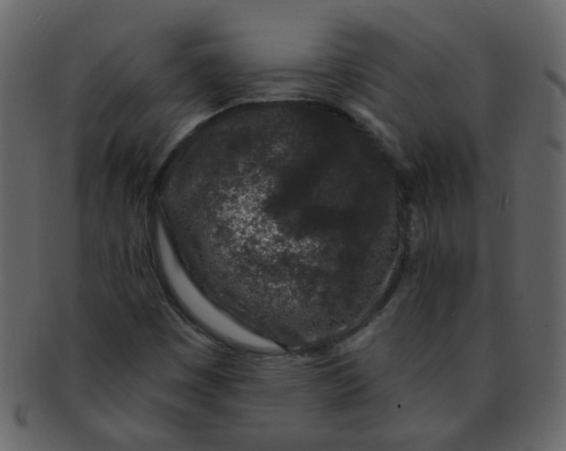 X0000093141449200710171319