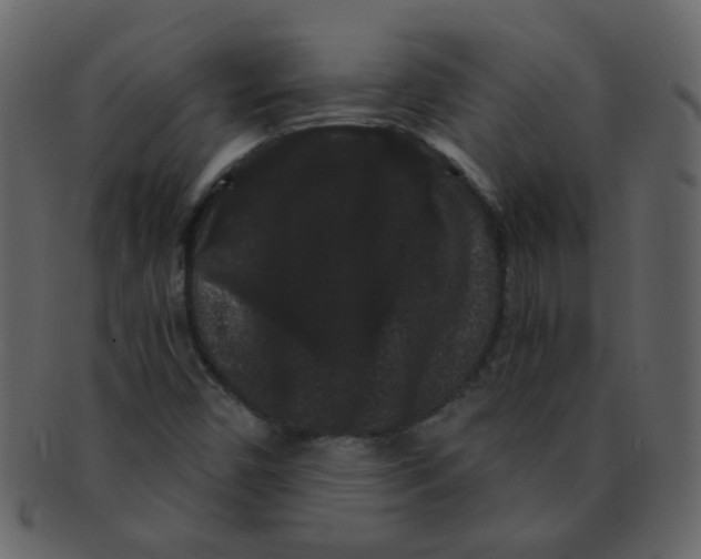 X0000093141450200710171319