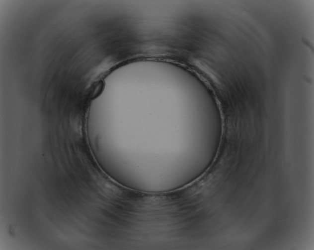 X0000093141451200710171319