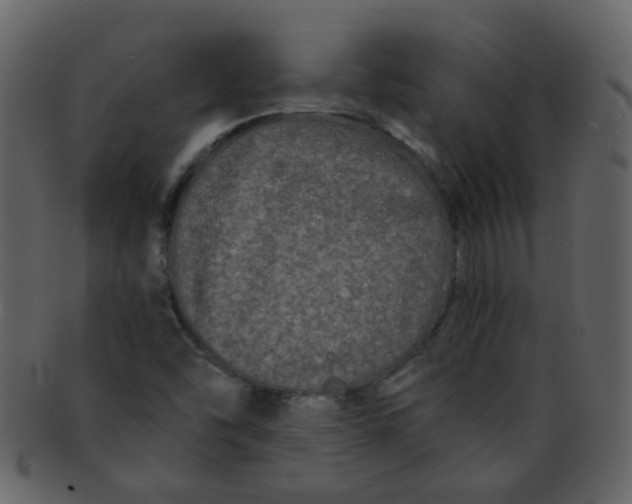 X0000093141454200710171319