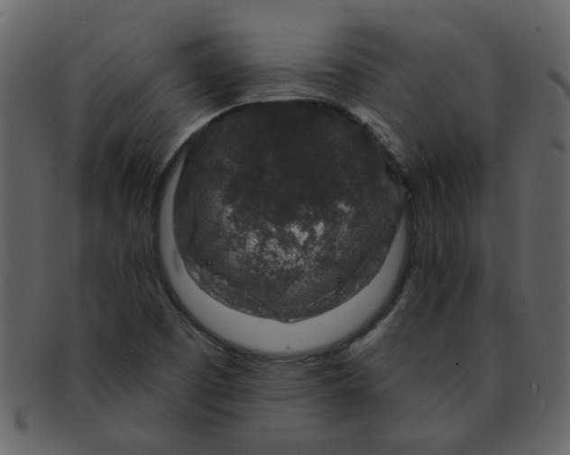 X0000093141457200710171319