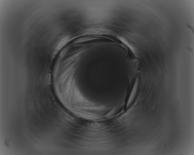 X0000093141459200710171318