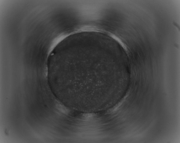 X0000093141461200710171318