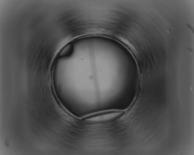 X0000093141467200710171318