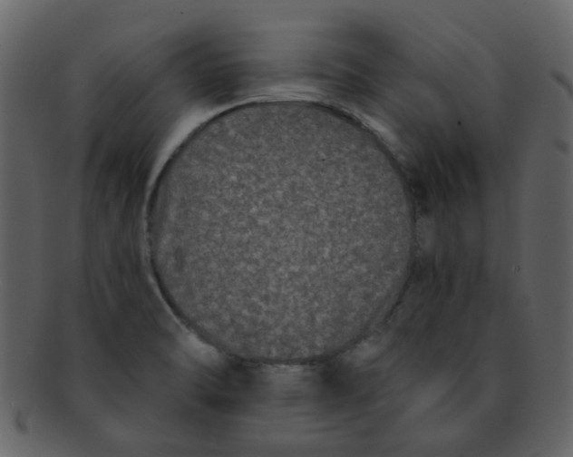 X0000093141470200710171318