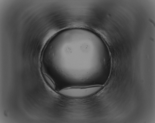 X0000093141471200710171318