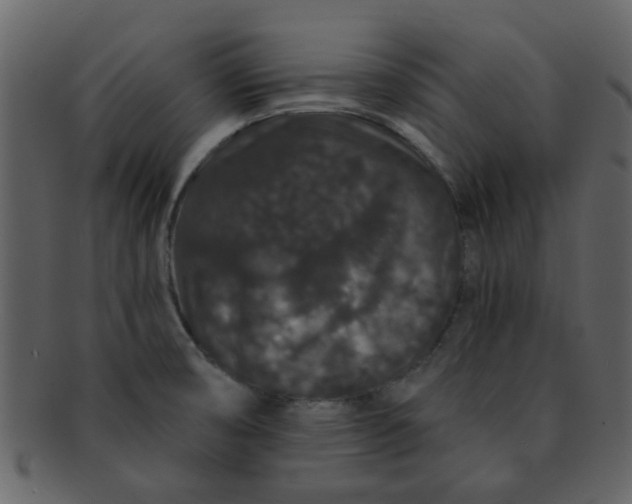 X0000093141474200710171318