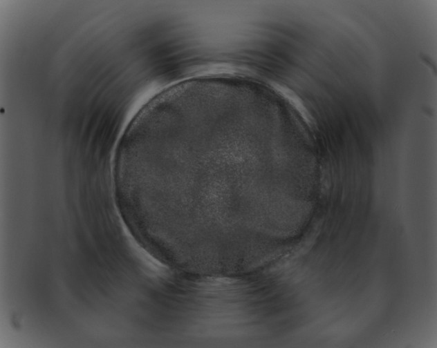 X0000093141475200710171318