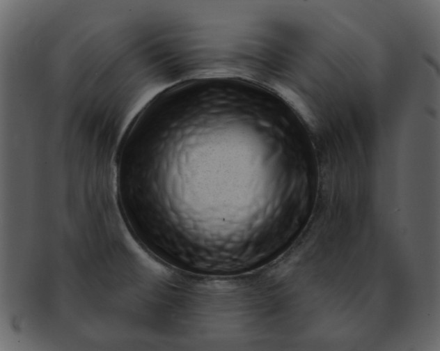 X0000093141476200710171318