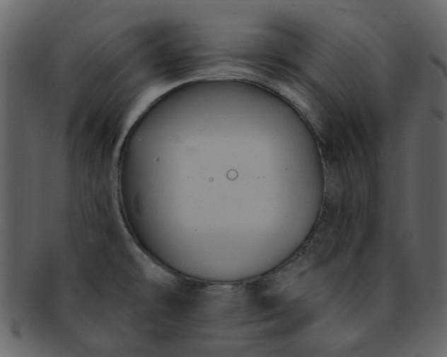 X0000093141478200710171318