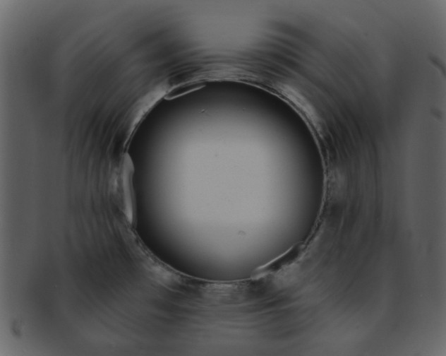 X0000093141481200710171318