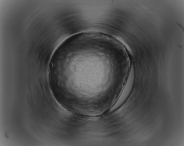 X0000093141484200710171318