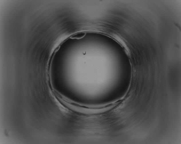 X0000093141485200710171318