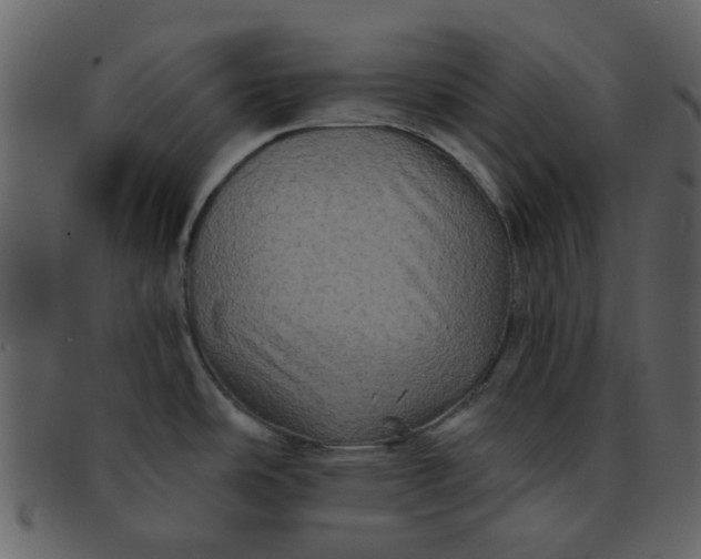 X0000093141486200710171318