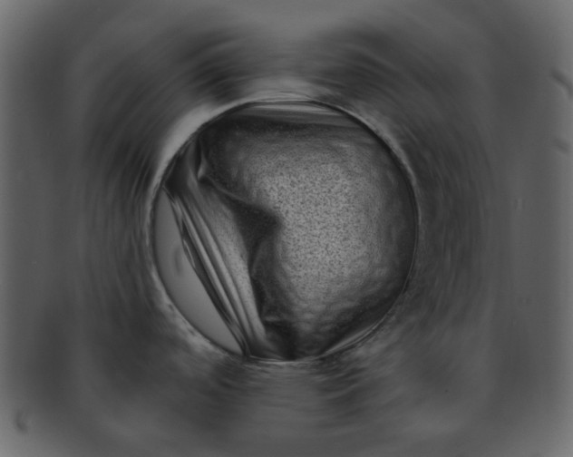 X0000093141488200710171318