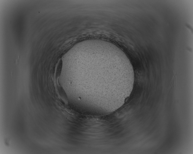 X0000093141489200710171317