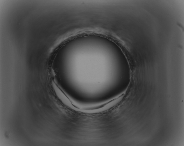 X0000093141496200710171317